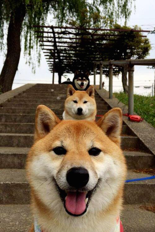 最佳进球:本周赛事最佳破门瞬间排行榜,最佳进球集锦