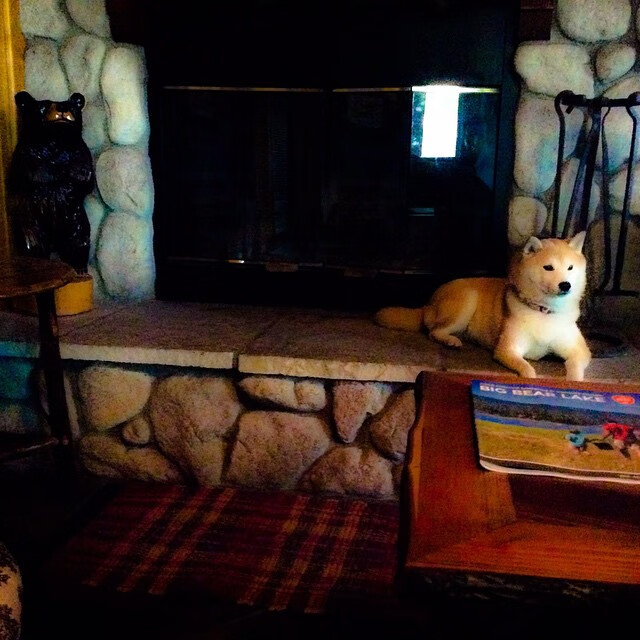 爱游戏线上-极限跳水世界巡回赛，水中腾跃的精彩瞬间，极限跳水世界纪录