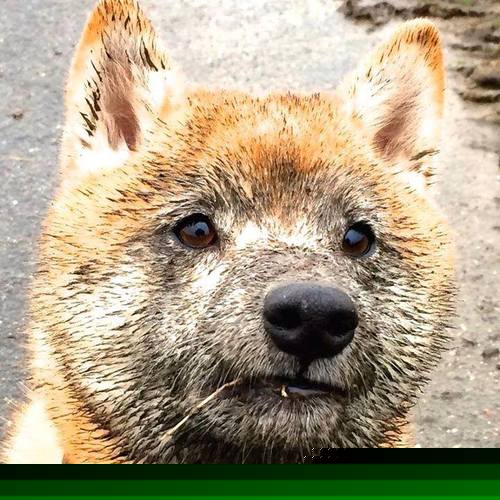 特色沙滩足球大师赛，激情四射的海滩盛典，沙滩足球赛制