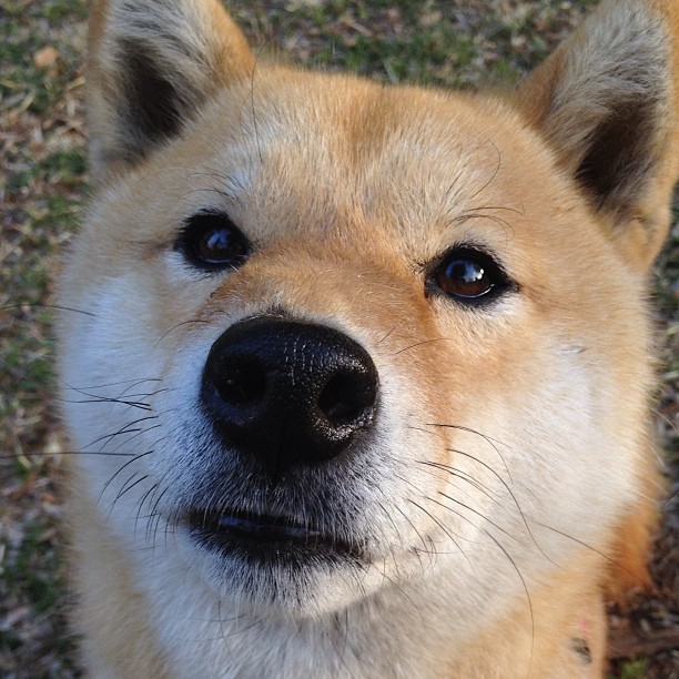 绝杀瞬间：让人屏住呼吸的最后一秒投篮，投进绝杀球最多的球员