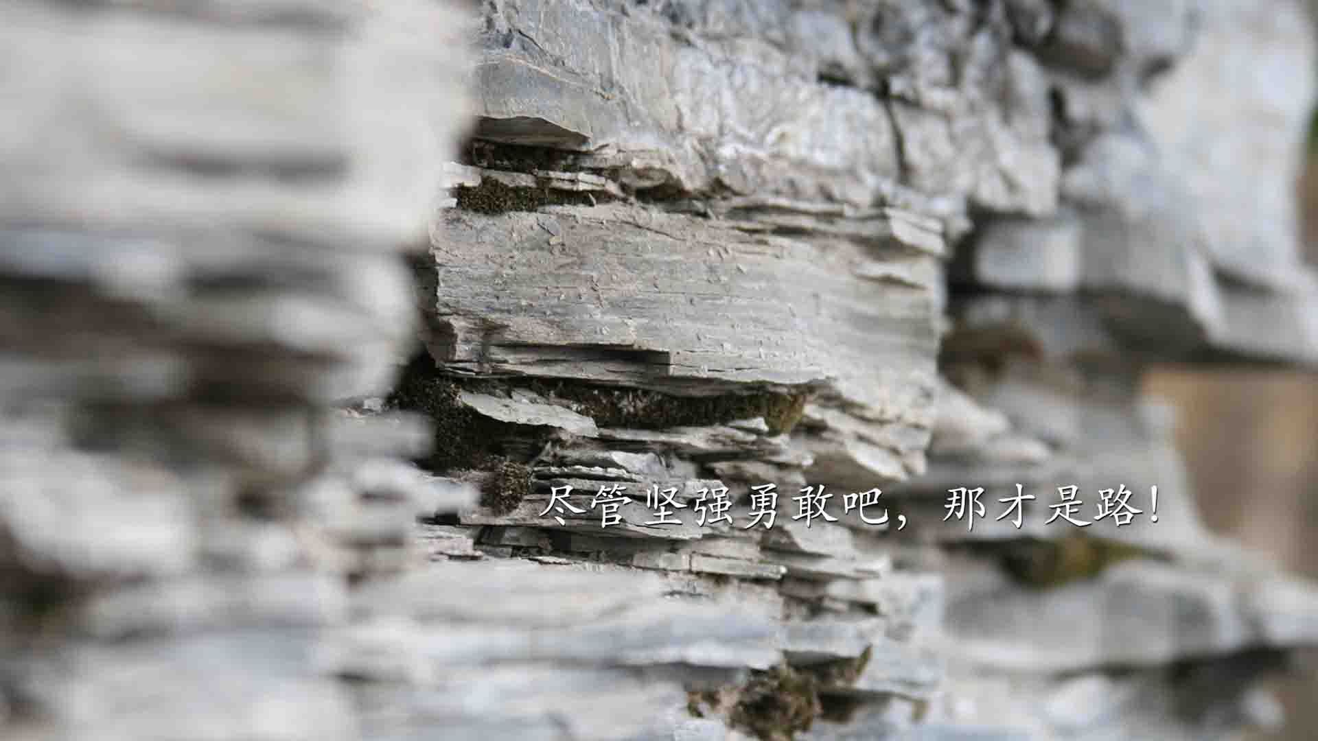 中国篮球运动员纪律管理,目前我国篮球运动员管理存在的弊端有哪些