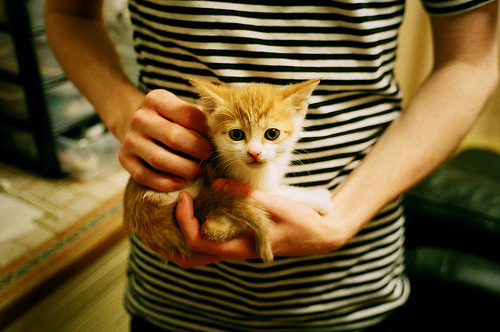 爱游戏入口-摩纳哥连胜稳固竞争对手，实力逐渐提升，摩纳哥2020