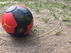 爱游戏体育-世界青年手球锦标赛中国队勇夺三连胜，世界手球锦标赛几年一次