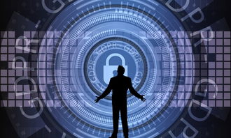 爱游戏娱乐平台-中国篮球联赛赛事安全管理优化与执行研究，篮球赛事安全风险