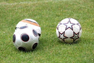 爱游戏线上-未来足球市场：数字资产与足球产业的融合，足球概念数字货币