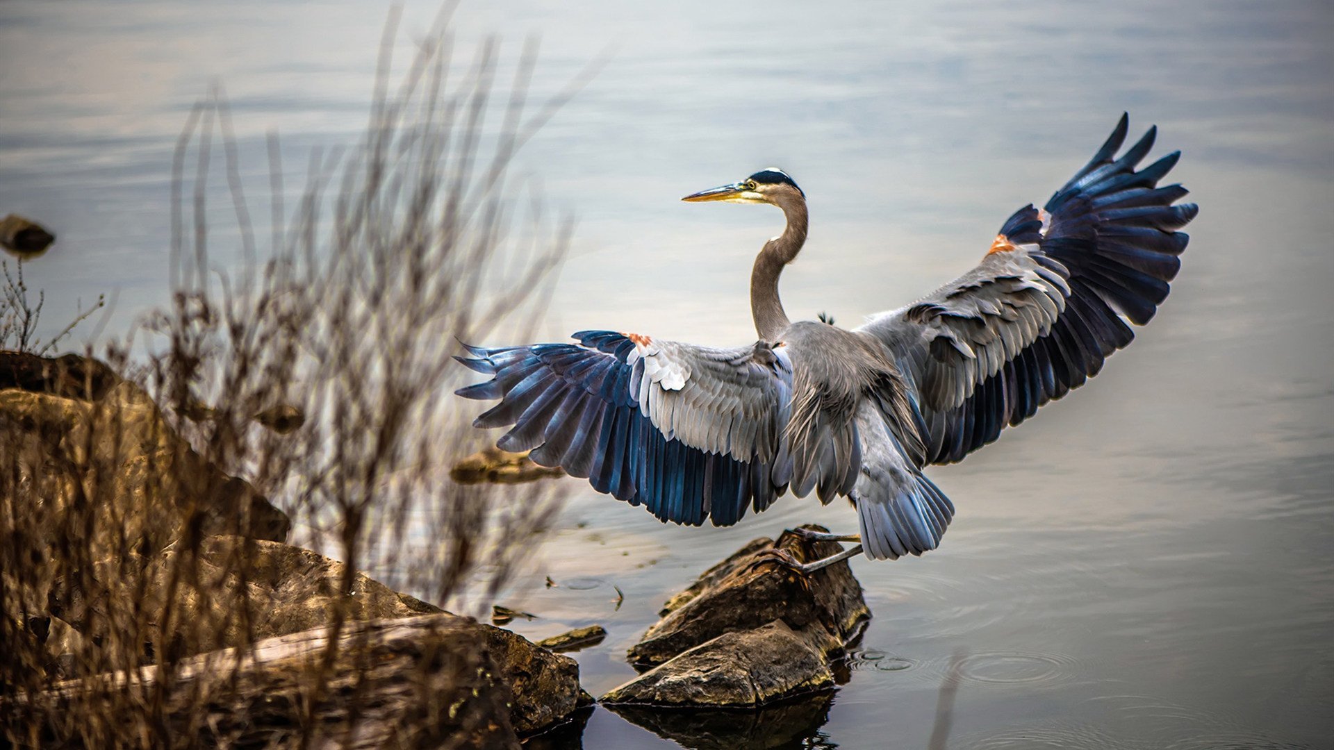中国三人篮球女队积极备战国际赛事,中国三人篮球女篮
