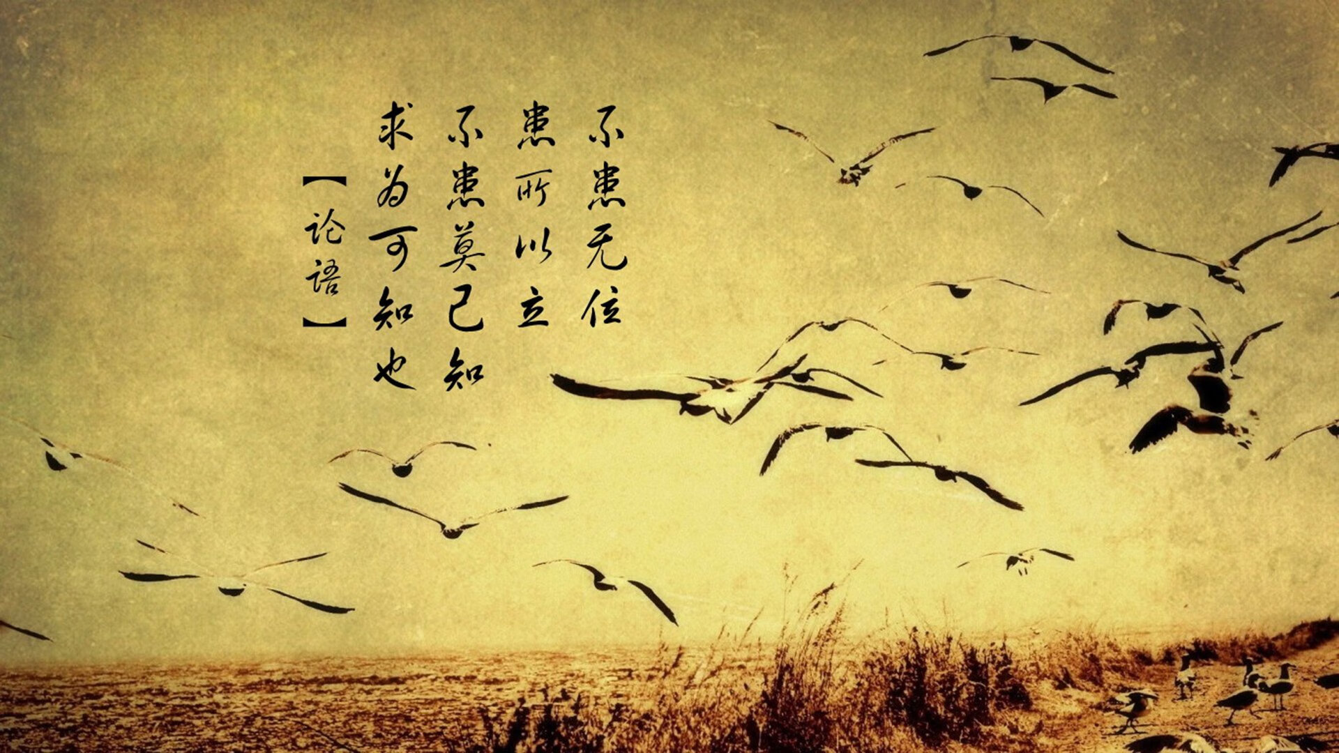 体育新闻中心上线体育内容个性化推荐算法,体育类新闻20条