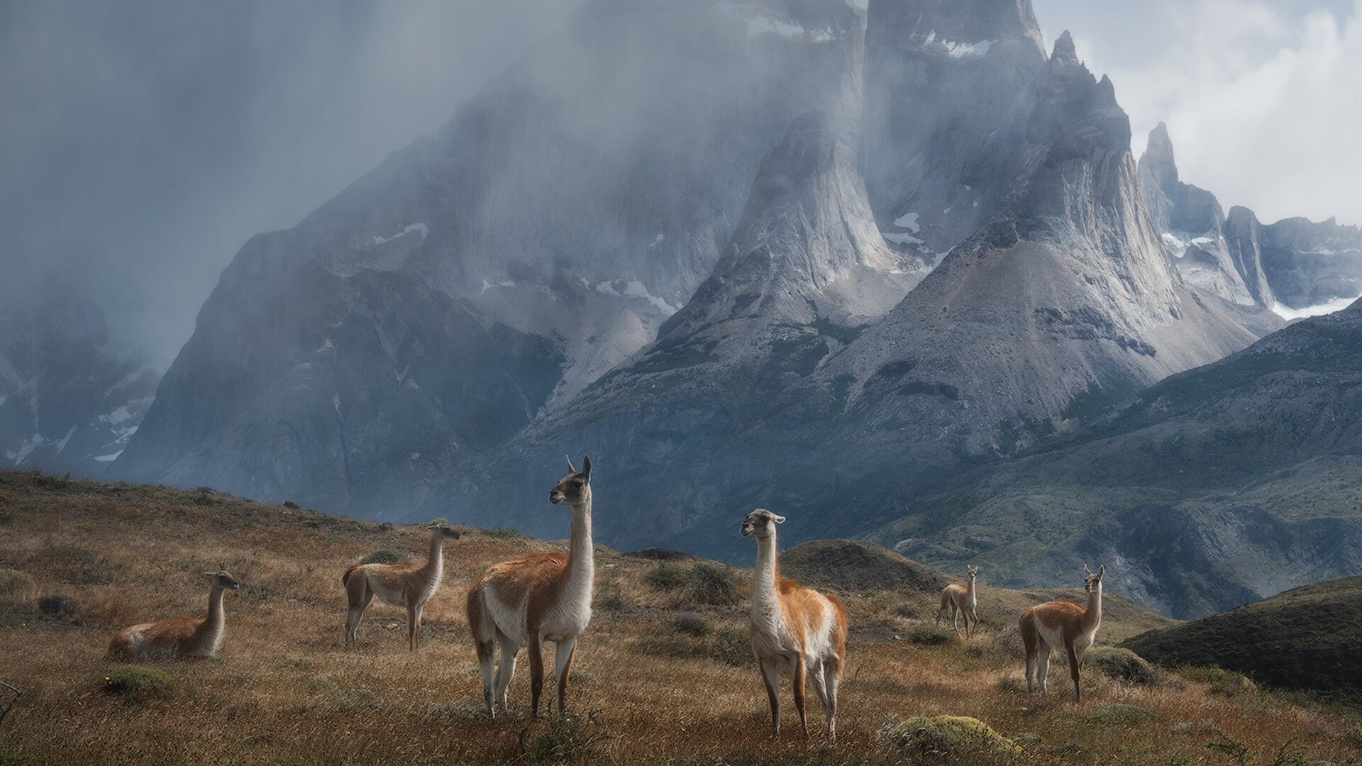 体育新闻中心承办体育赛事数字内容版权研讨会,体育赛事媒体手册